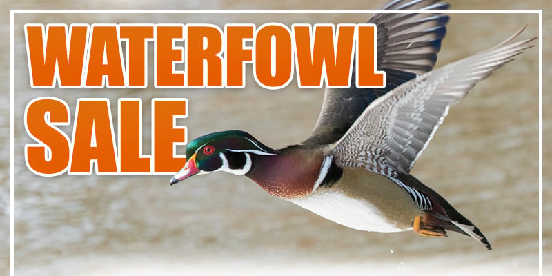 Special: 2024 Waterfowl Sale